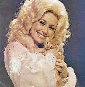 Meet your Posher, Dani